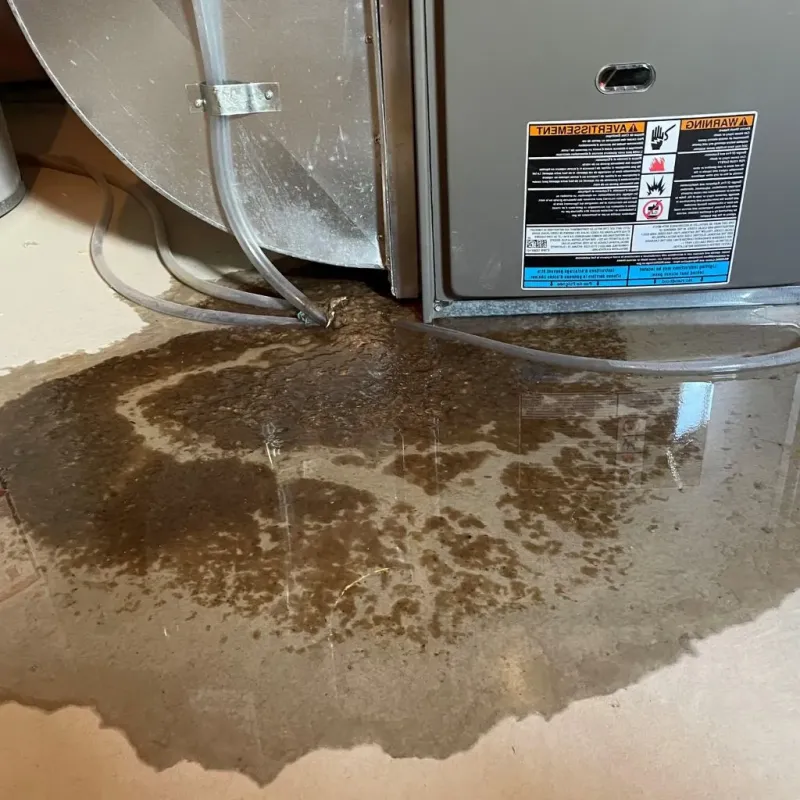 Pipe Burst and Leak Restoration in Fairfield, ME