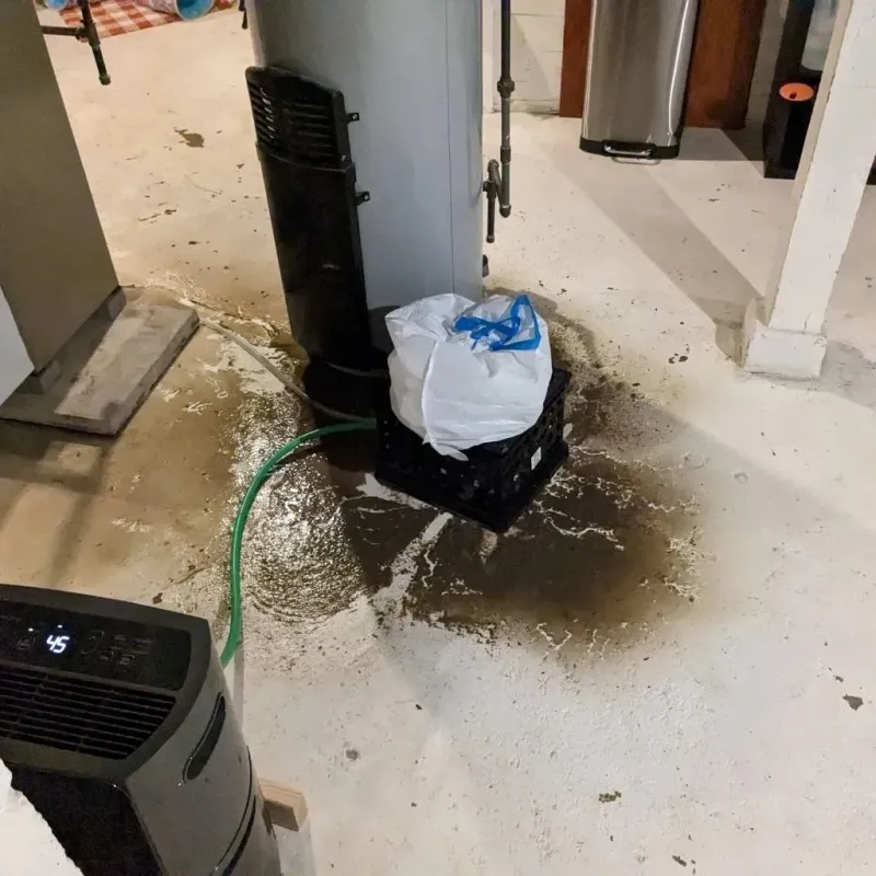 Sewage Backup Cleanup Service in Fairfield, ME